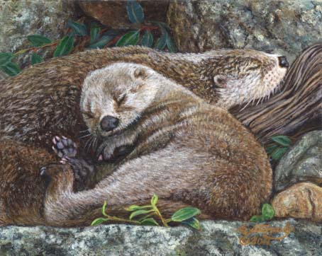 Sleeping Otters