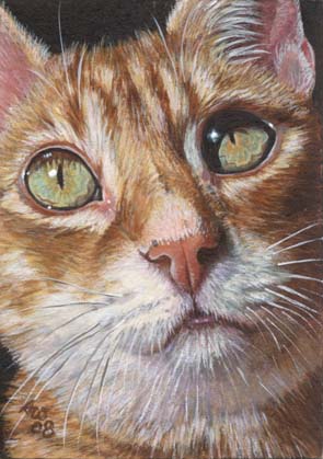 ACEO Hunter #5