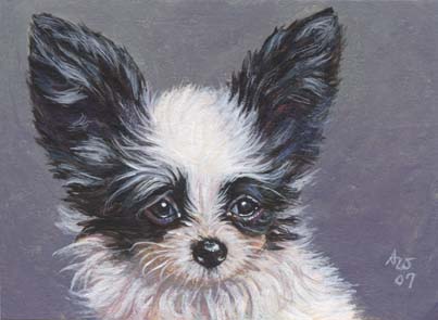 ACEO Papillon #4