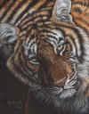 Paint_Me_Protect_Us_small