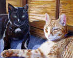 Sunday_Afternoon-small